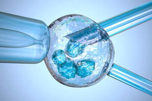 中国专业代孕公司-捐卵援助之路开启”